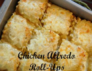 Chicken Alfredo Roll Ups