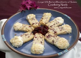 Cranberry Noel Cookies 