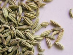 Cumin Bread