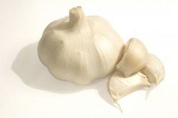 Aioli - A Simple Recipe