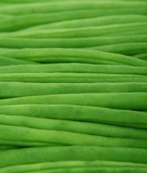Molly's Green Bean Casserole