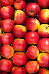 Apple Butter