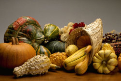 Acorn Squash Souffle
