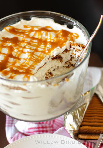 Spiked Biscoff Cookie Ice Cream Cake