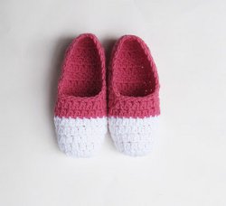 Two Tone ballet Slippers