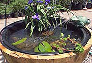 Whiskey Barrel Water Garden